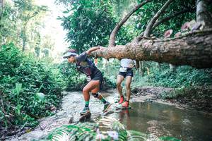 BIB: 
                            <button type="button" onclick="openModal(25433539)" class="btn btn-primary btn-sm float-right btn-popup" data-toggle="modal" data-target=".modal-high-quality">
                        <i class="fas fa-shopping-cart"></i> Add to Cart
                    </button>
                                            <button type="button" onclick="isThisMe(25433539, true)" class="btn btn-success btn-sm float-right btn-popup btn-isme hidden" data-toggle="tooltip" data-placement="bottom" title="นี่คือรูปของคุณใช่ไหม คลิกที่นี่เพื่อเอาเข้าอัลบั้ม">
                        <i class="fas fa-plus"></i> Add to album
                    </button>
                    <button type="button" onclick="isThisMe(25433539, false)" class="btn btn-warning btn-sm float-right btn-popup btn-isnotme hidden">
                        <i class="fas fa-ban"></i> Remove from album
                    </button>